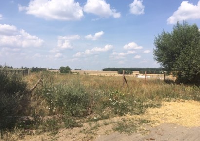 działka na sprzedaż - Rokietnica, Napachanie